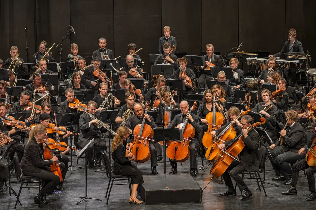The sections of the orchestra and how they work together