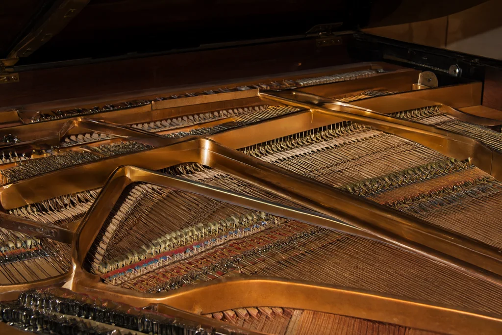The piano: a percussion instrument in disguise