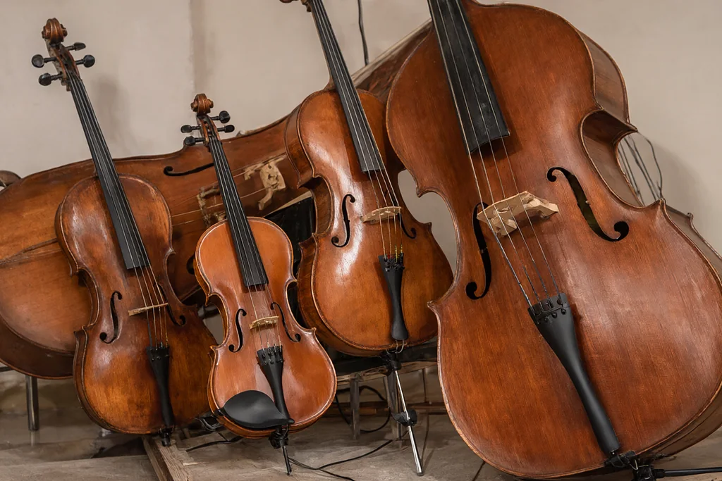 The string family: violin, viola, cello and double bass